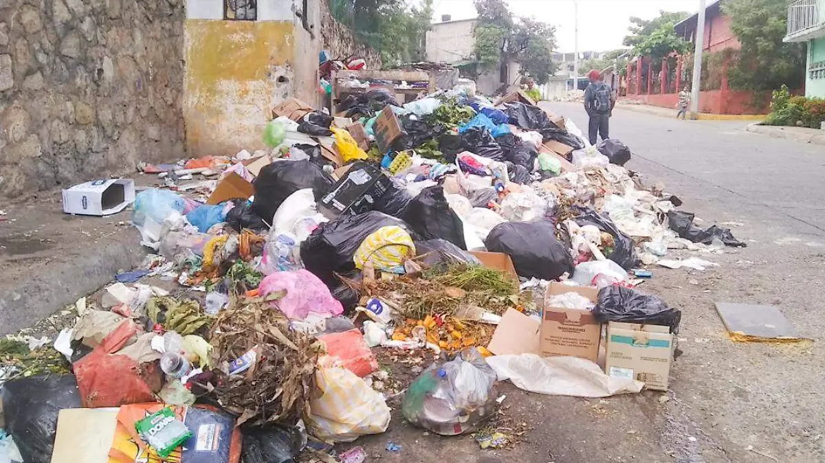 basura el coloso